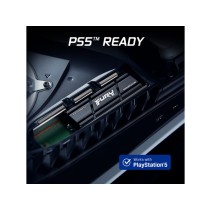 Kingston SSD 2TB NVMe M.2 Fury Renegade, PCIe 4.0 R/W : 7300/7000MB/s, Heatsink