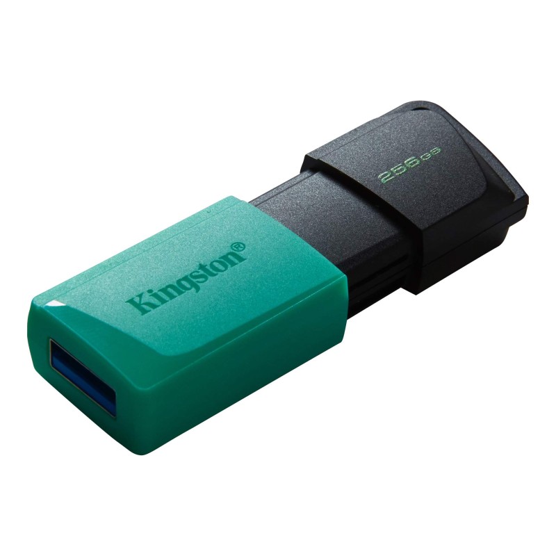 Kingston FD 256GBUSB3.2 DataTraveler Exodia M