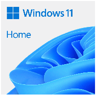Microsoft Windows 11 Home 64-bit OEM licenca